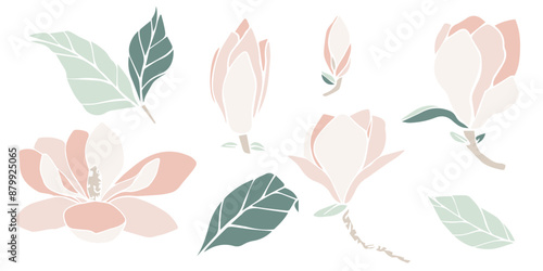 Vector magnolia flower silhouette, set of illustration in soft pastel colors. isolated floral element. flower bud of different shapes for wedding design, prints, templates, greeting cards, invitations