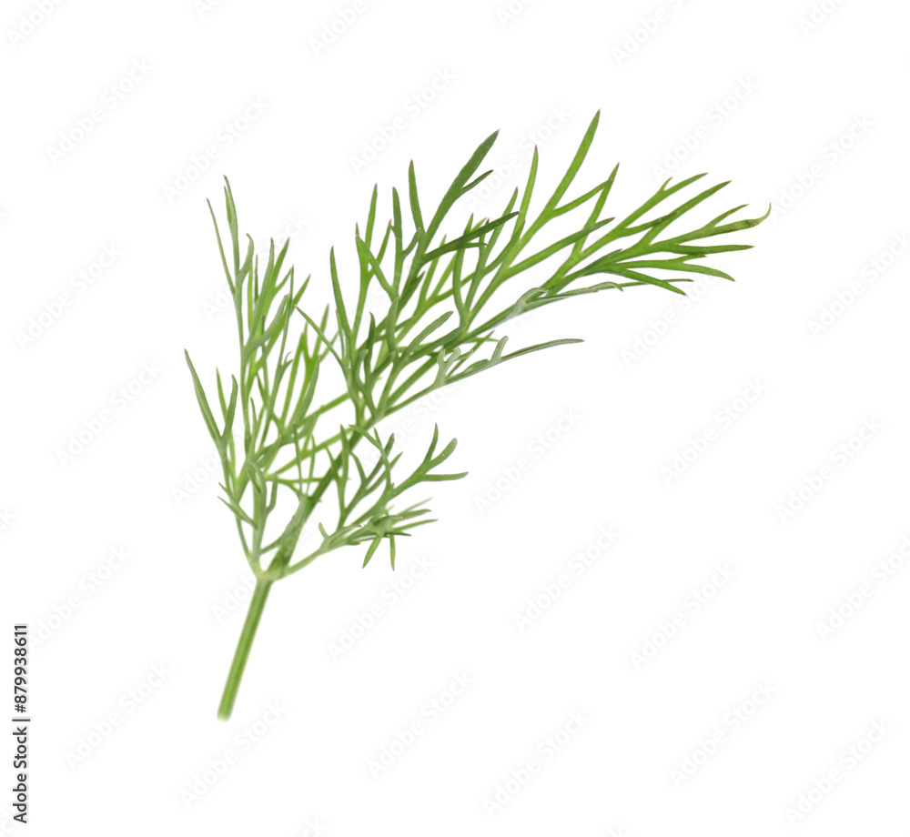 Sprig of fresh green dill isolated on white Sprig of fresh green dill isolated on white