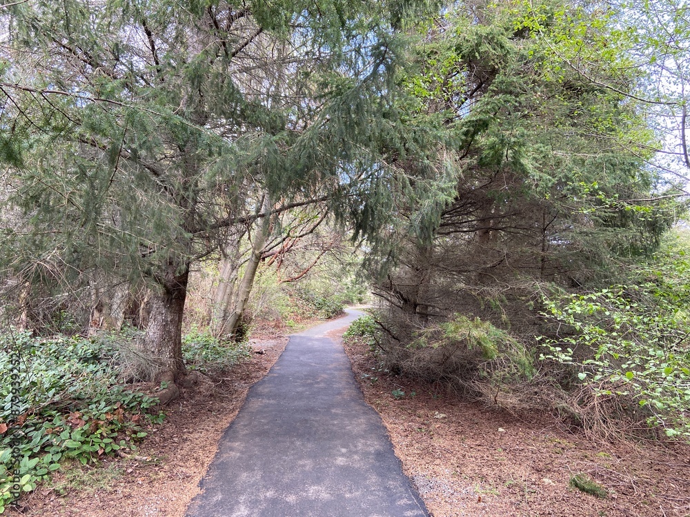 Fototapeta premium path in the park - Deception Pass State Park
