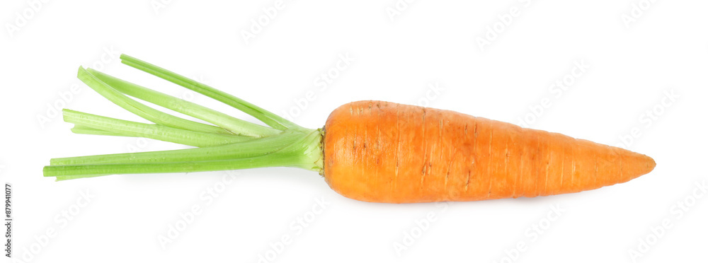 One fresh ripe carrot isolated on white One fresh ripe carrot isolated on white