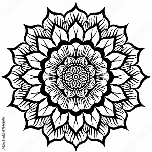 Intricate mandala coloring book for adults, perfect for relaxation and creativity
