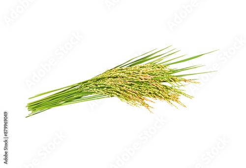 japan rice on transparent p n g