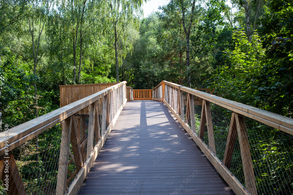 Wooden Walkway in Forest, Nature Rrail Wooden Walkway in Forest, Nature Rrail