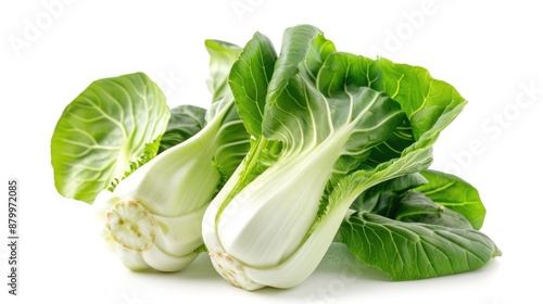 Baby pak choi against white backdrop