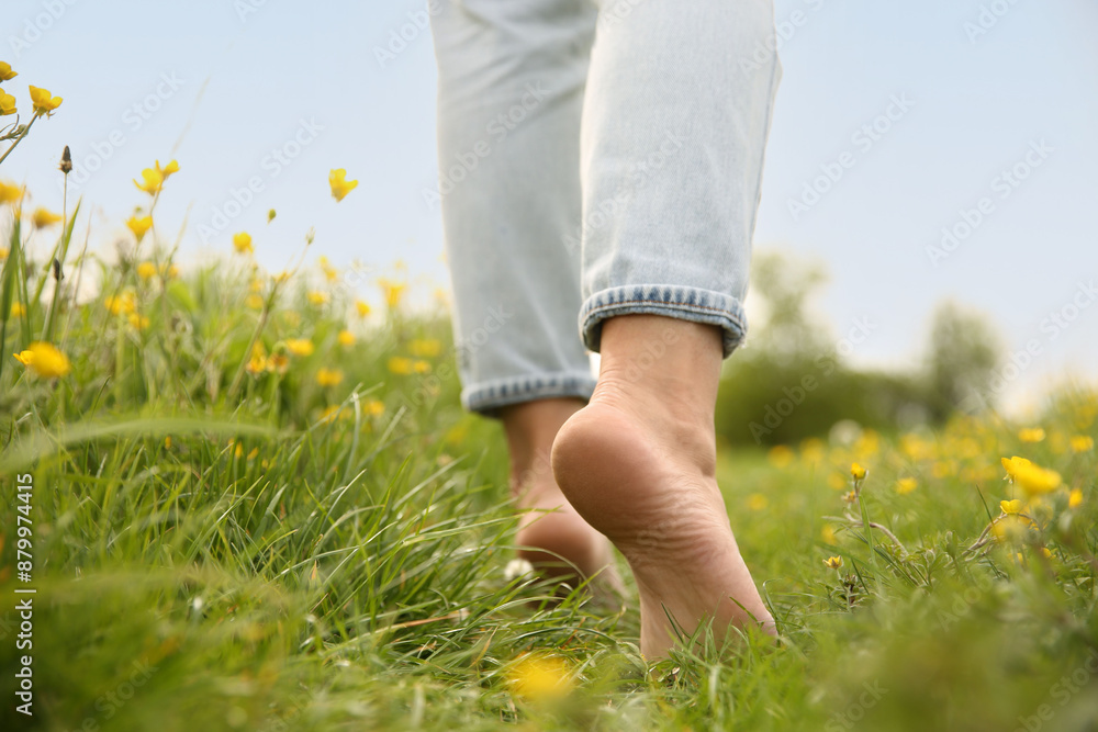 Woman walking barefoot on green grass outdoors, closeup Woman walking barefoot on green grass outdoors, closeup