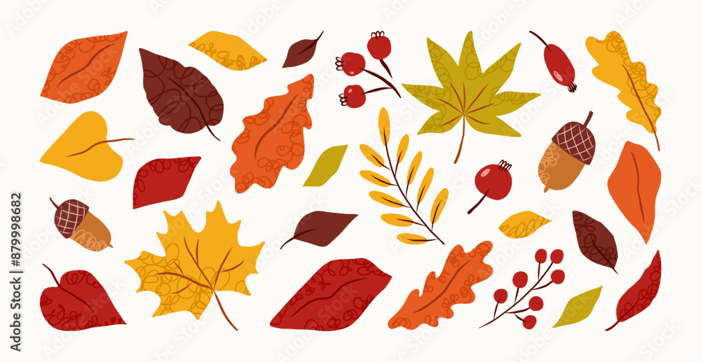 Fototapeta premium Set of hand drawn abstract autumn leaves and berries. Fall leaves, maple, acorns, berries, oak, rowan. Vector trendy flat illustration.