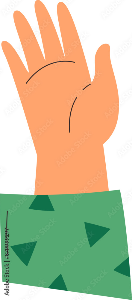 Human Hand Arm Human Hand Arm