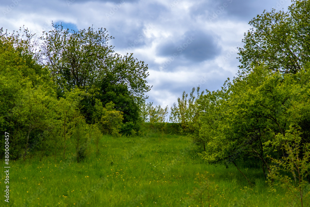 Rural places against a cloudy sky. A rustic landscape. Spring juicy foliage greens. Blue sky. Rural places against a cloudy sky. A rustic landscape. Spring juicy foliage greens. Blue sky.