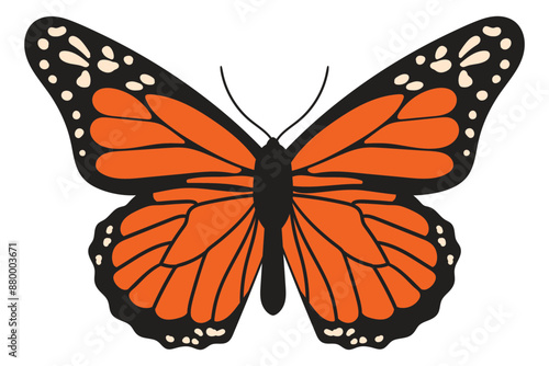 Monarch butterfly, Danaus plexippus. 