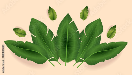 Green tropical banana leaves on light background. Realistic foliage with shadows. Nature botanical theme