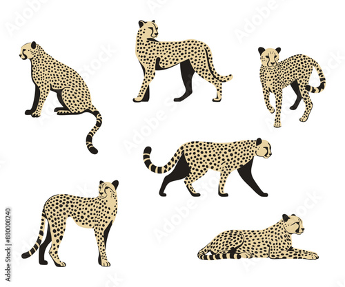Gepard. Kolekcja 6 dzikich kotów. Ilustracja wektorowa.