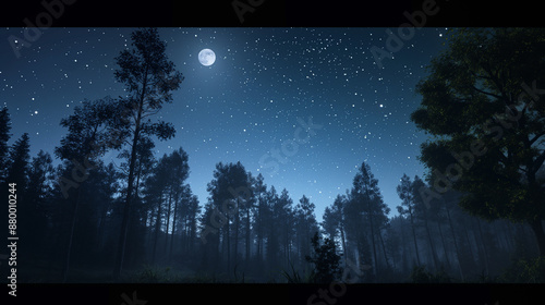 night sky with stars and trees