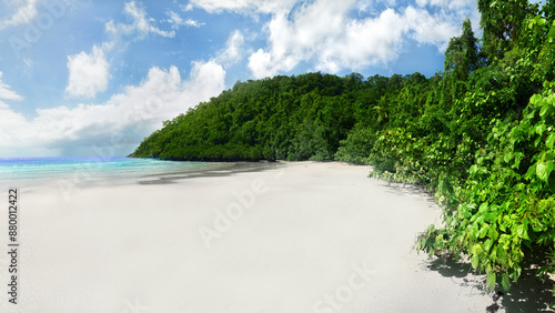 Where the Rainforest meets the Sea photo