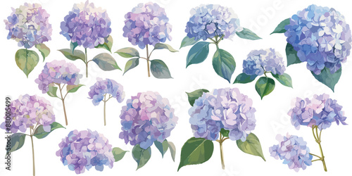 Foto hydrangea watercolor clipart