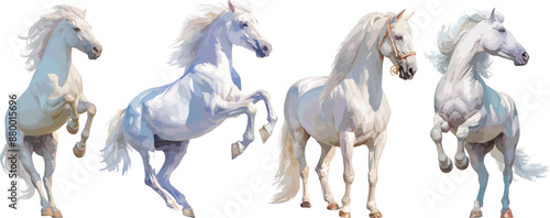 white horse watercolor clipart