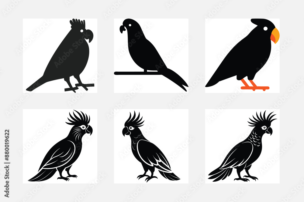Fototapeta premium set of birds