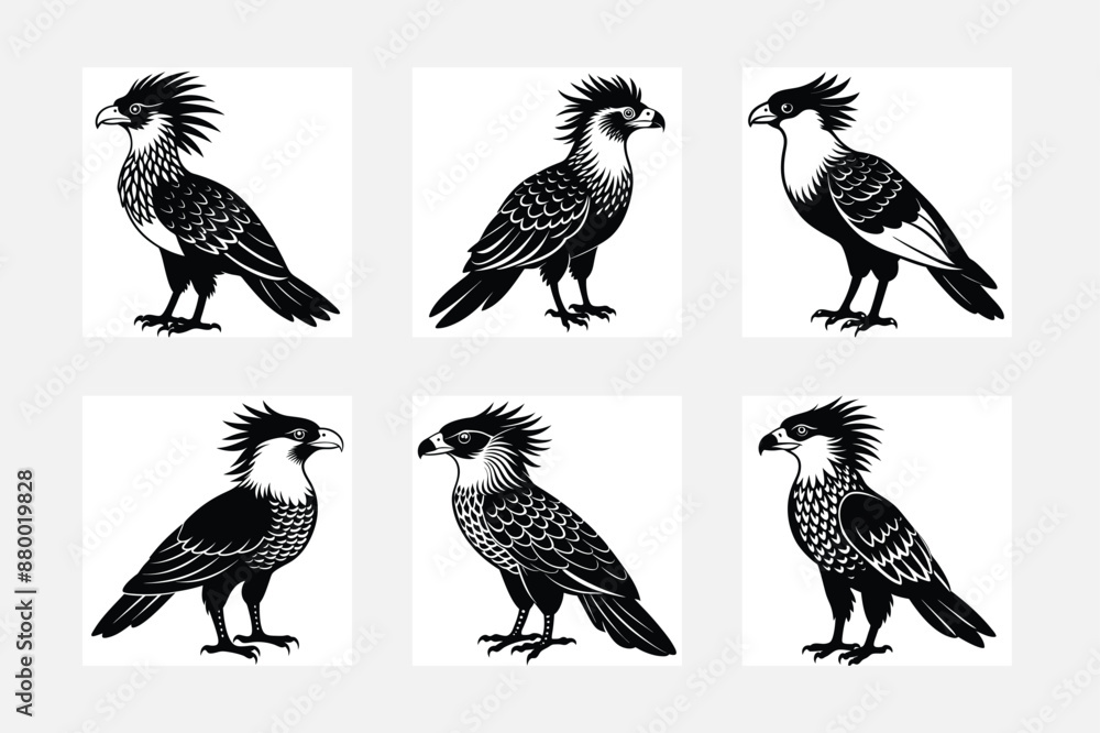 Obraz premium set of silhouettes of Toucan birds
