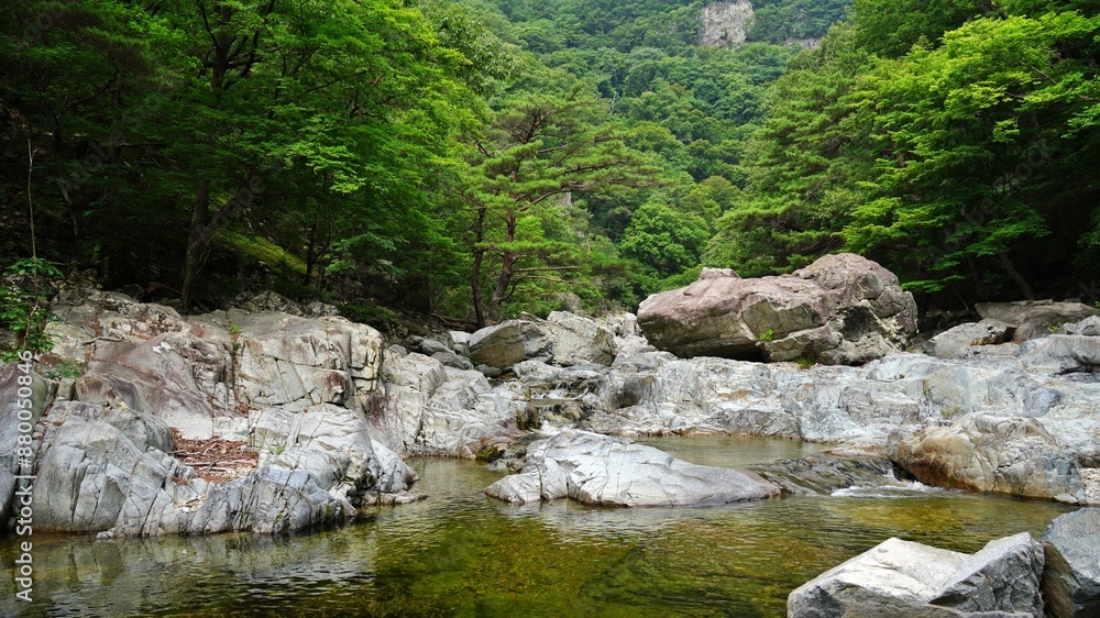 Beautiful summer scenery of Bogyeongsa Valley in Korea Beautiful summer scenery of Bogyeongsa Valley in Korea