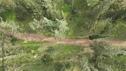 Aerial Tilt Up Shot Of People Walking On Walkway By Trees, Drone Flying Over Ben Shemen Forest photo