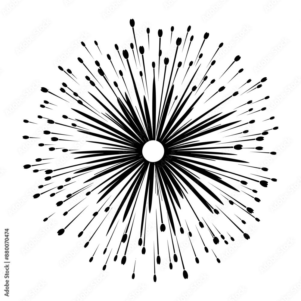 Obraz premium vector fireworks, black and white, white background, stamp