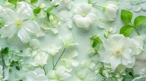 Floral Symphony: White Blooms on Verdant Canvas photo