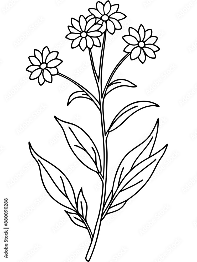 Naklejka premium set of black and white flowers vector line art