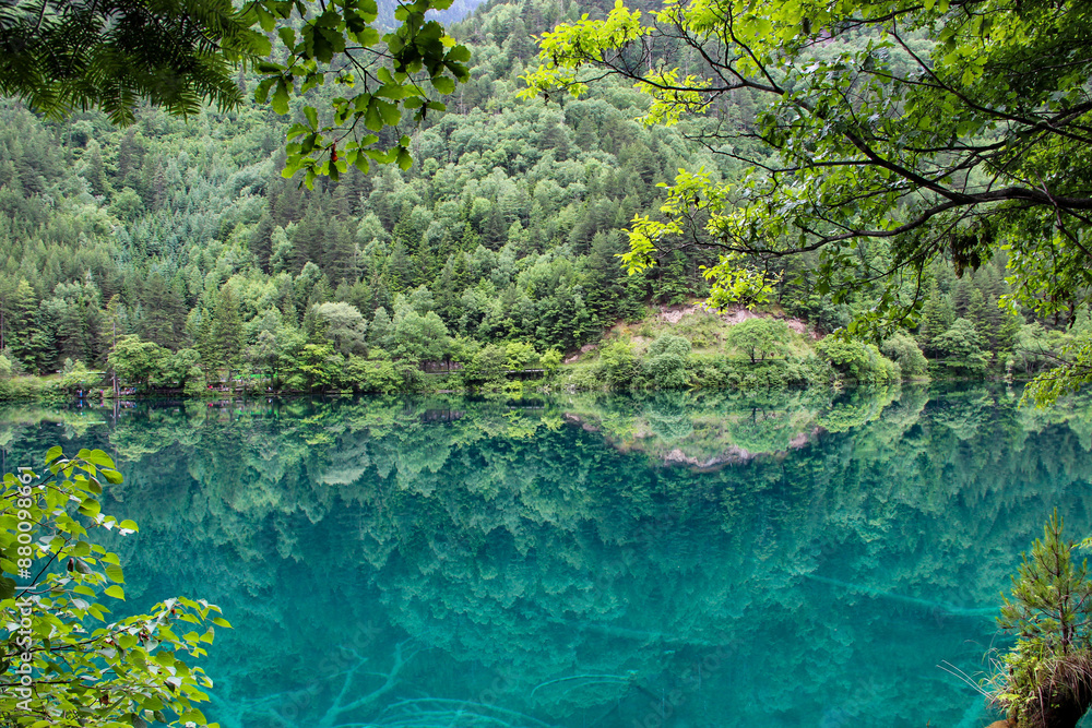 lake in the forest, Jiuzhaigou Valley Scenic, Sichuan, China lake in the forest, Jiuzhaigou Valley Scenic, Sichuan, China