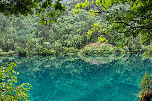 lake in the forest, Jiuzhaigou Valley Scenic, Sichuan, China