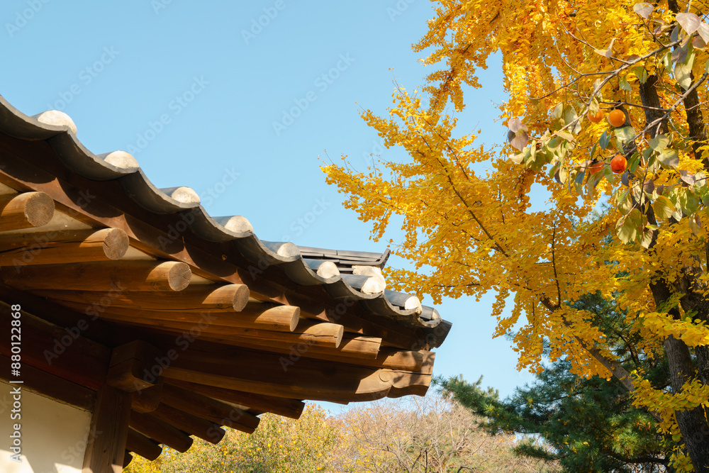 Traditional architecture and autumn leaves at Seolleung and Jeongneung Royal Tombs in Seoul, Korea
