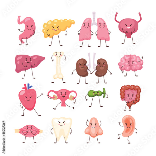 Set of cute cartoon body human internal organ character collection, Cartoon cute organs characters. Happy healthy human organs anatomy, funny kidney, lungs and brain, stomach with faces.