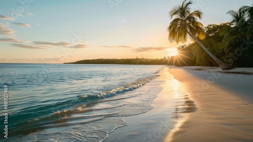 Fototapeta Naklejka Na Ścianę i Meble -  beach with coconut trees in sunrise.