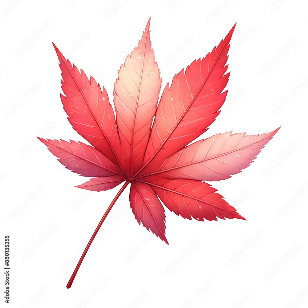 3d red maple leaf 3d red maple leaf
