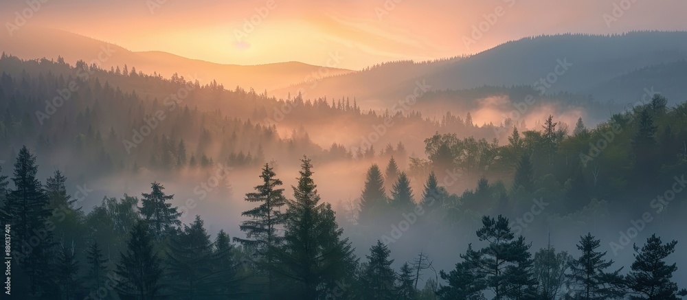 Obraz premium A tranquil sunrise scene with mist enveloping a dense forest and rolling hills, creating a serene and peaceful atmosphere.