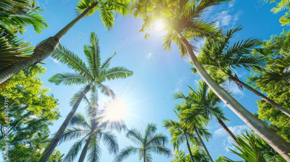 Palm Trees and Sunshine in Tropical Paradise Palm Trees and Sunshine in Tropical Paradise