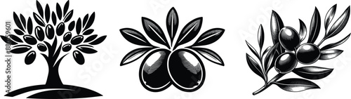 Set of olive tree and branch, vector illustration.