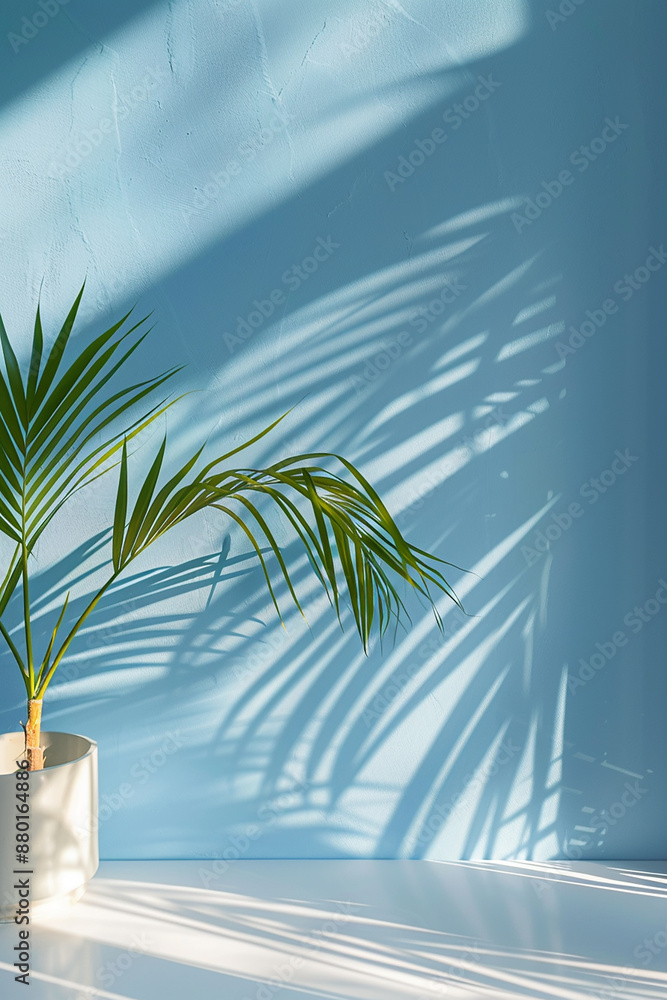 Minimalist indoor plant casting shadows on a light blue wall, creating a serene and modern aesthetic. Minimalist indoor plant casting shadows on a light blue wall, creating a serene and modern aesthetic.