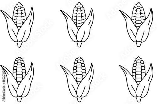 Corn Kernel line art detailed illustration series