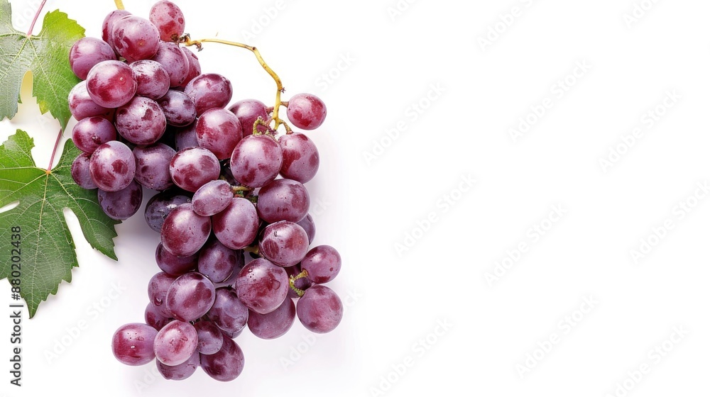 Isolated grape stem on white background with space for text Isolated grape stem on white background with space for text