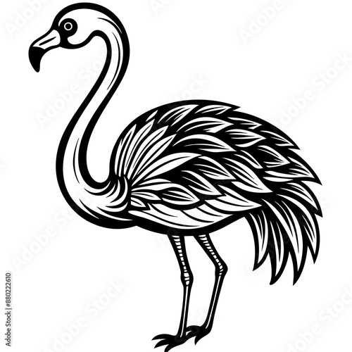 An elegant flamingo with curved neck Vector Design and illustration photo