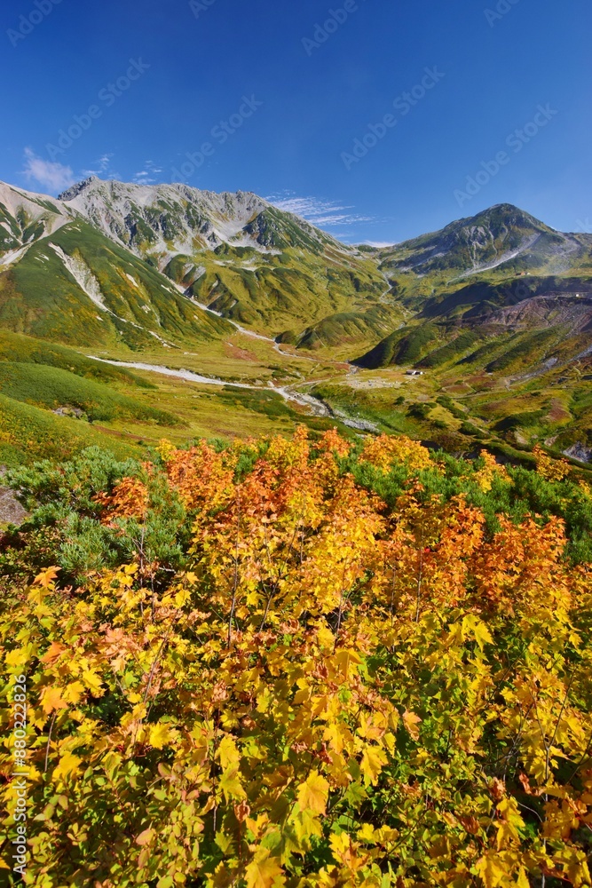 Fototapeta premium 紅葉の立山連峰 ハイキング