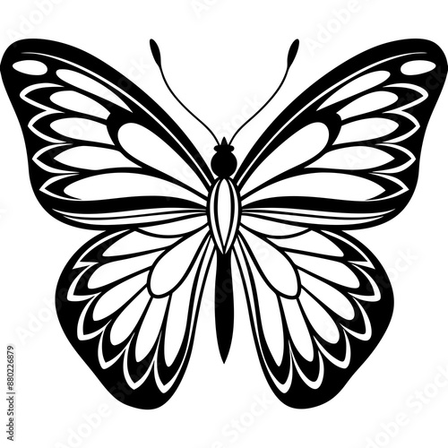 A simple butterfly with symmetrical wings Vector Design and illustration