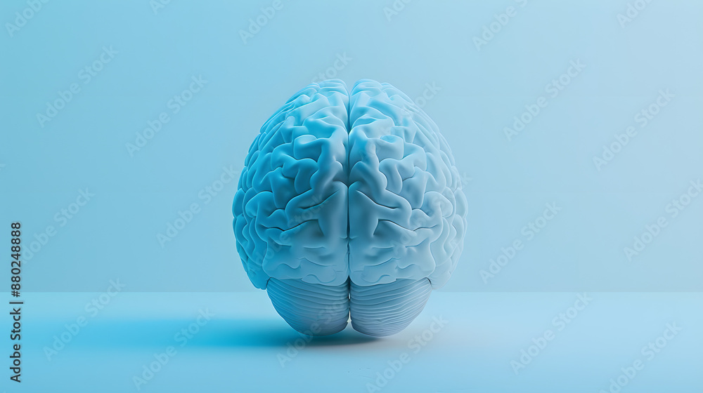 human brain human brain