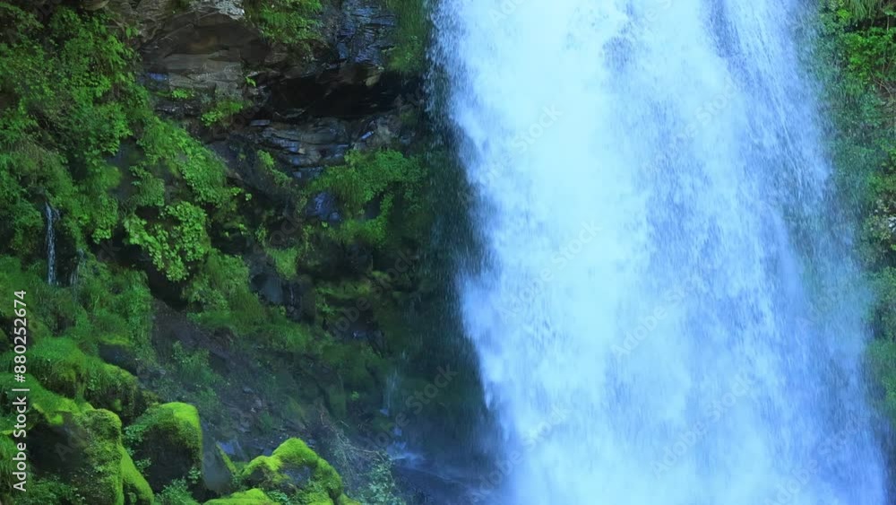 waterfall in the forest,slowmotion
waterfall in the forest,slowmotion