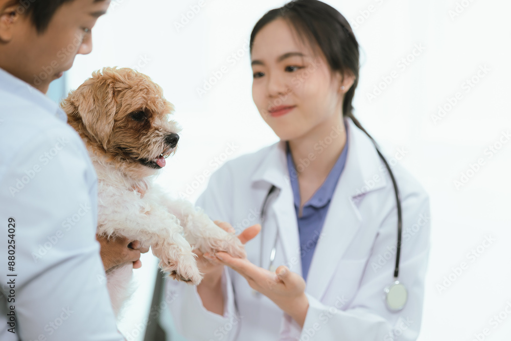 Veterinarians in animal hospitals provide care and treatment for pets. They get their dogs examined with the help of experts in caring for their pet's health, vaccinating them, and managing illnesses. Veterinarians in animal hospitals provide care and treatment for pets. They get their dogs examined with the help of experts in caring for their pet's health, vaccinating them, and managing illnesses.