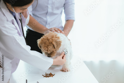 Veterinarians in animal hospitals provide care and treatment for pets. They get their dogs examined with the help of experts in caring for their pet's health, vaccinating them, and managing illnesses.