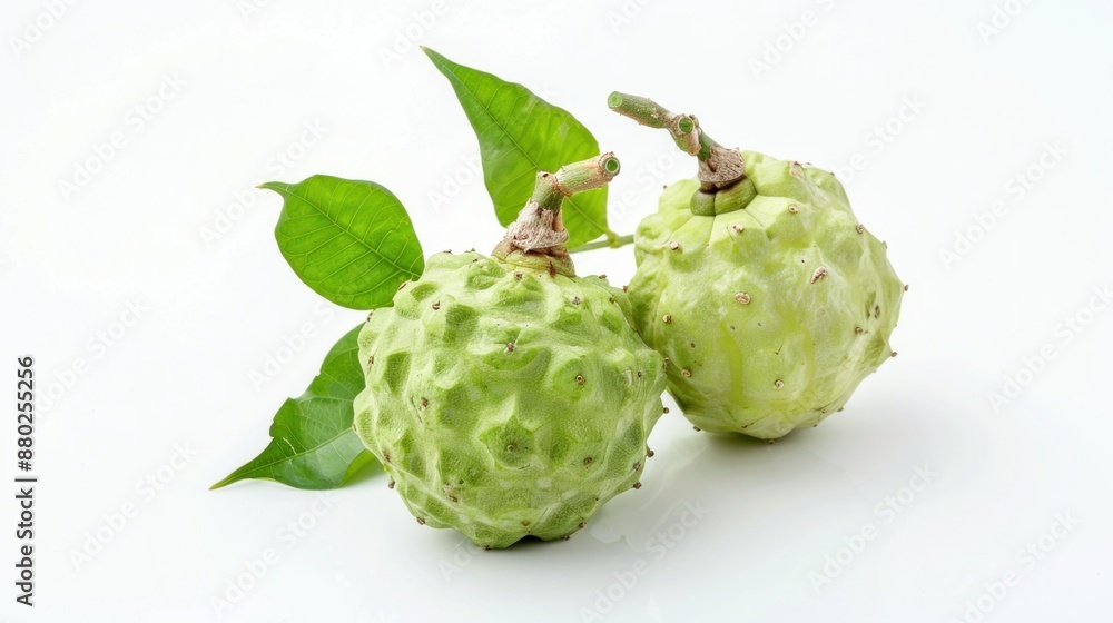 Obraz premium Dracontomelon fruit on white background , 