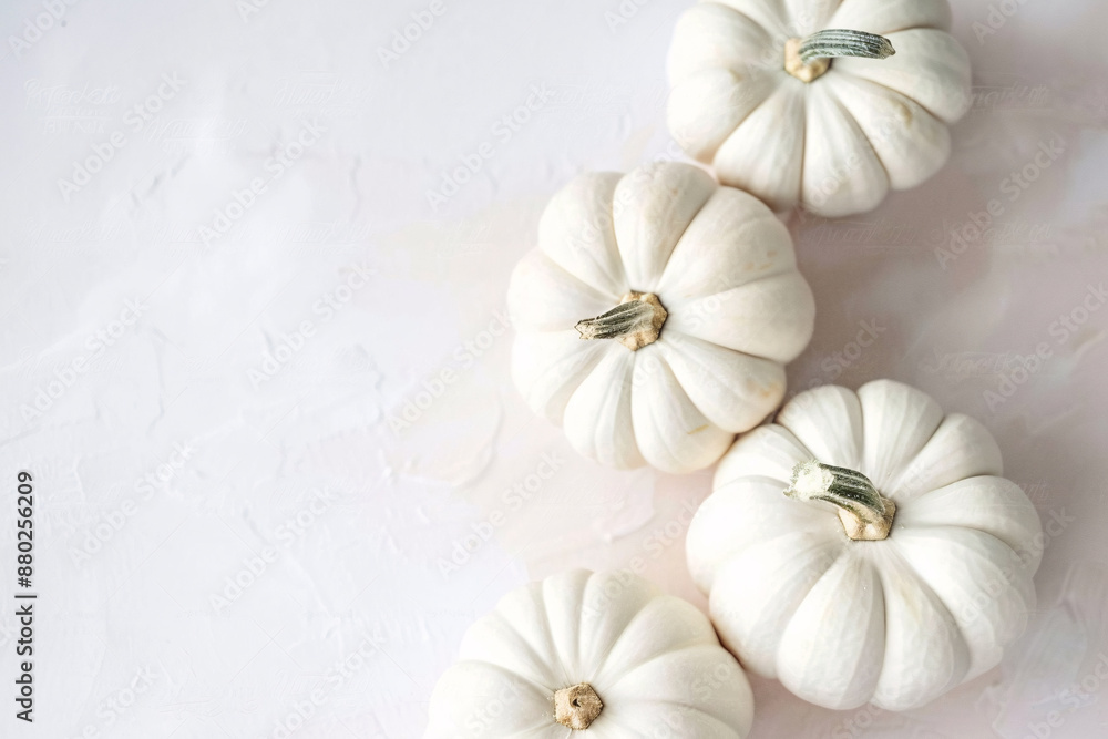 Top view of white decorative pumpkins with copy space Top view of white decorative pumpkins with copy space