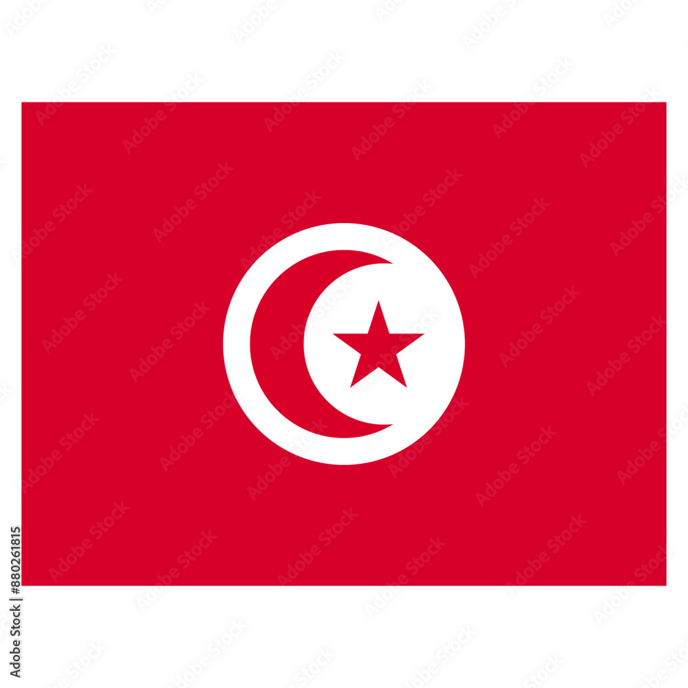 Obraz premium Vector Icon for Tunisia, country, national, flag, world flag
