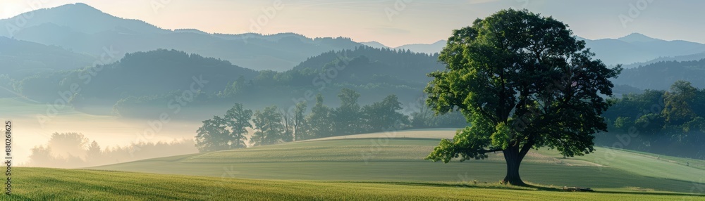 Fototapeta premium Lone tree on a misty hilltop with mountains in the background