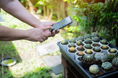 Elderly Asian women who love a plant and cactus, she's capture her impressions and take pictures of cactus